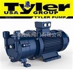 TYLER009进口水环真空泵欧美进口旋片真空泵